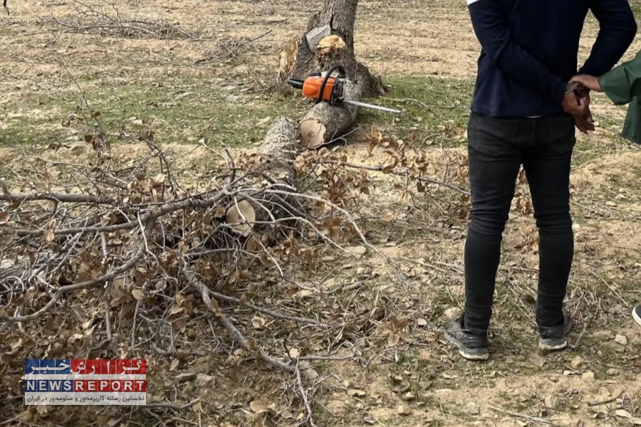 روز پرکار محیط زیست شهرستان های کازرون و کوهچنار