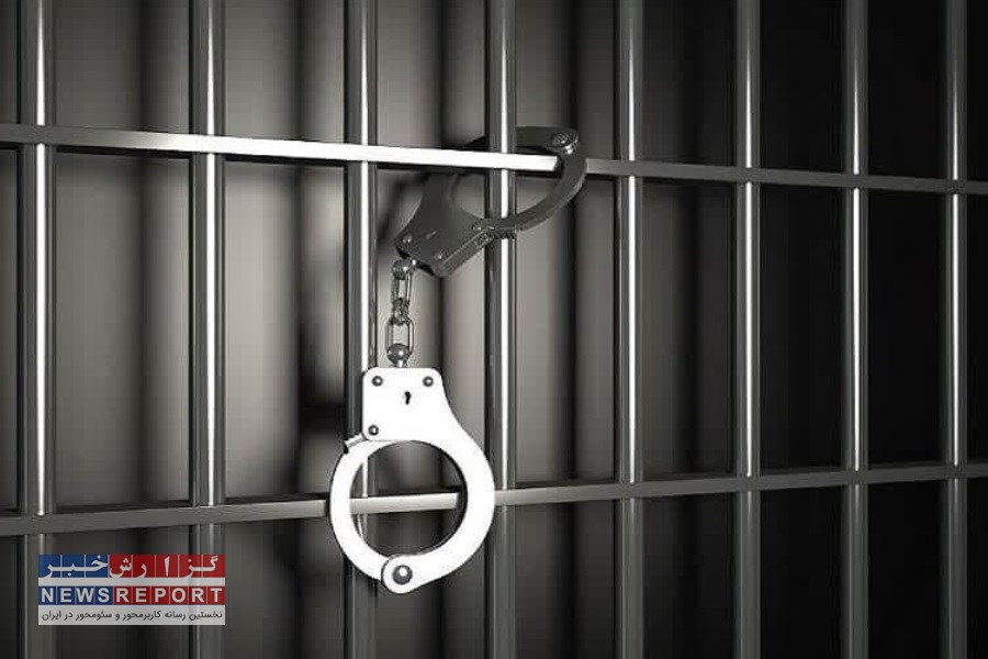 کشف ۸ فقره سرقت در لامرد