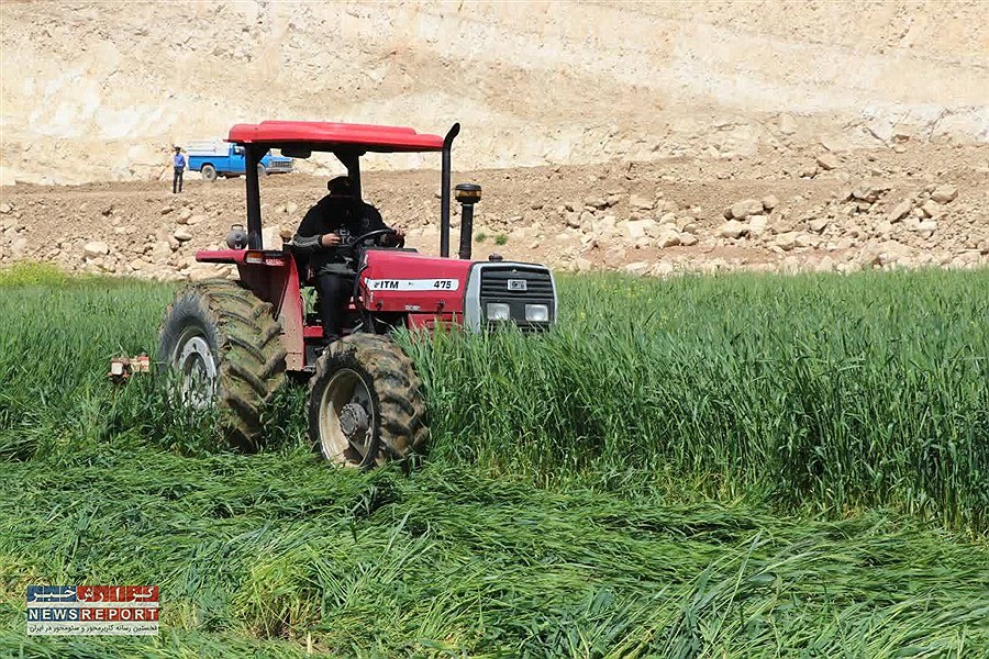 400 هکتار سطح مزارع آلوده ی امحاء شده