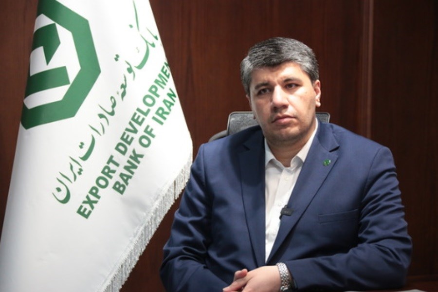 پیام مدیرعامل بانک توسعه صادرات ایران به مناسبت هفته دولت