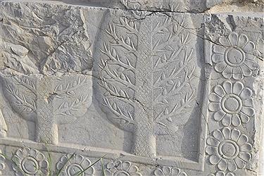 تصویر سنگ نگاره های تخت جمشید