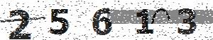 تصویر امنیتی